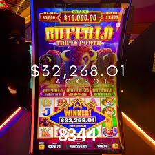 Football Betting 8344